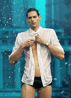 Speedo