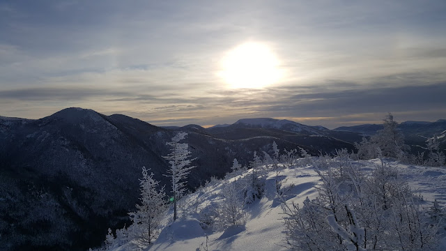 Vue à partir du sommet du mont Olivine