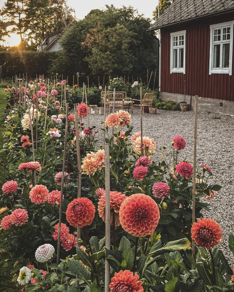 An Idyllic Swedish Country Home in a Former Mission House