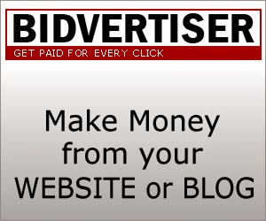 Bidvertiser