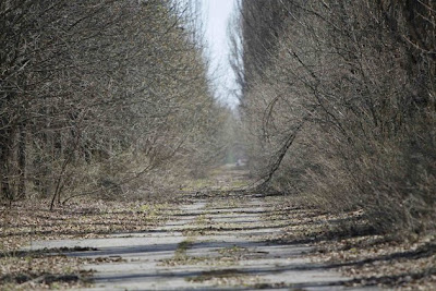 Chernobyl Selepas 27 Tahun Berlalu