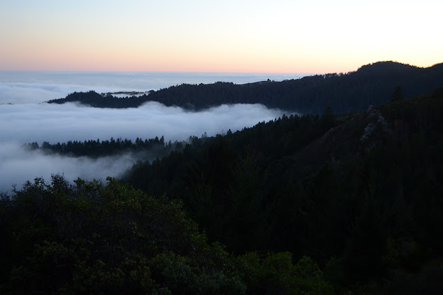 colors over the fog