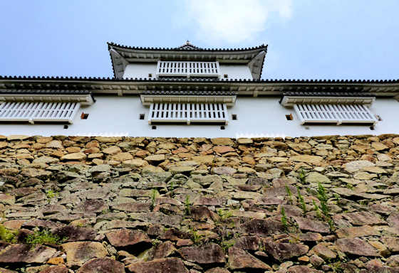 Tsuyama Castle Okayama.