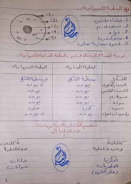 ملامح منهج العلوم الجديد للصف السادس 2024 ترم أول