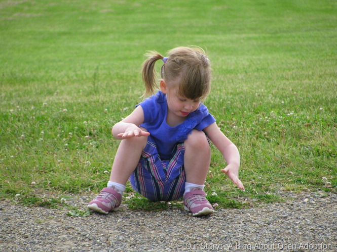 IMG_9487 IMG_9487
