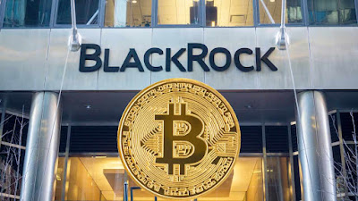 BlackRock's Embrace of Bitcoin: Unveiling the Dynamics, Growth Factors, and Future Implications"