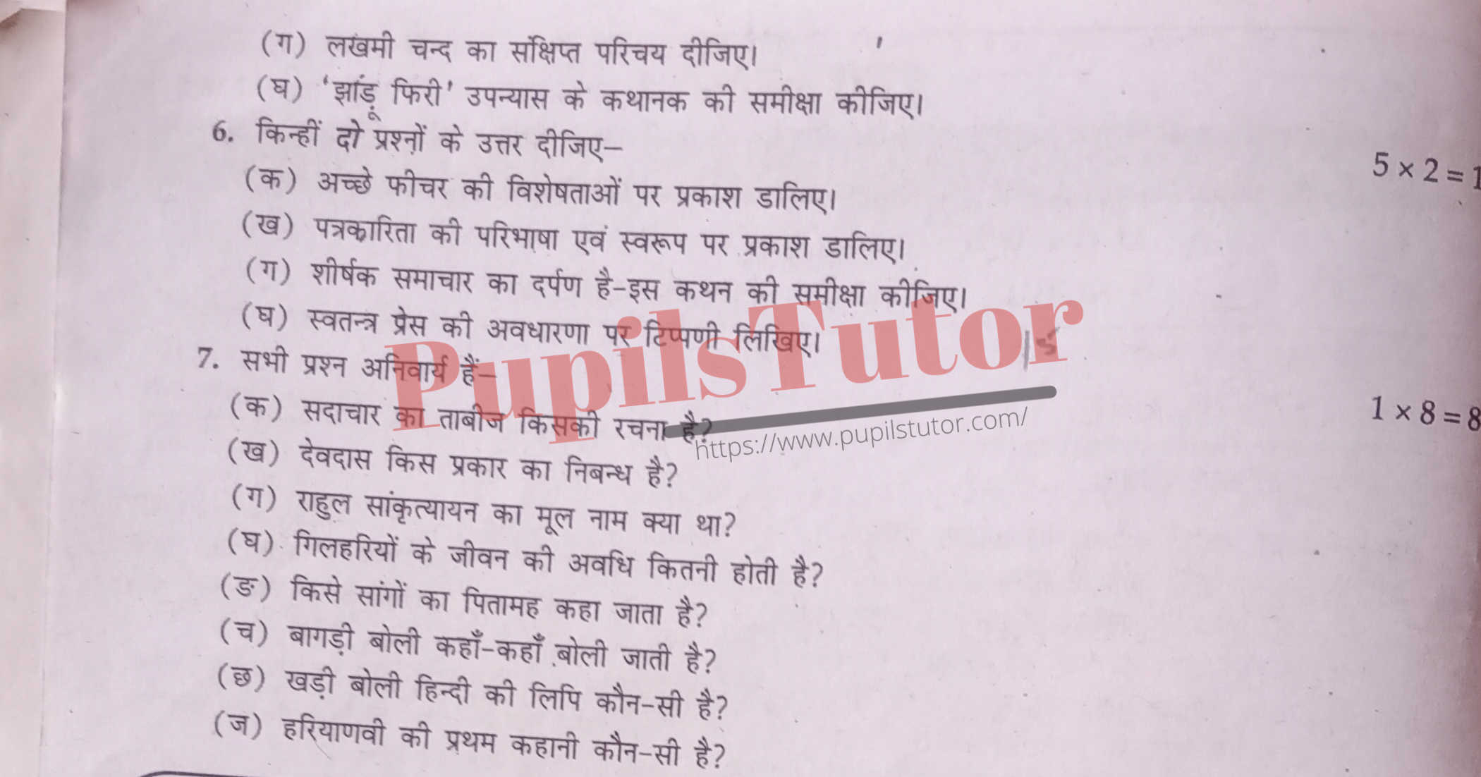 M.D. University B.A. Hindi (Compulsory) Sixth Semester Important Question Answer And Solution - www.pupilstutor.com (Paper Page Number 2)