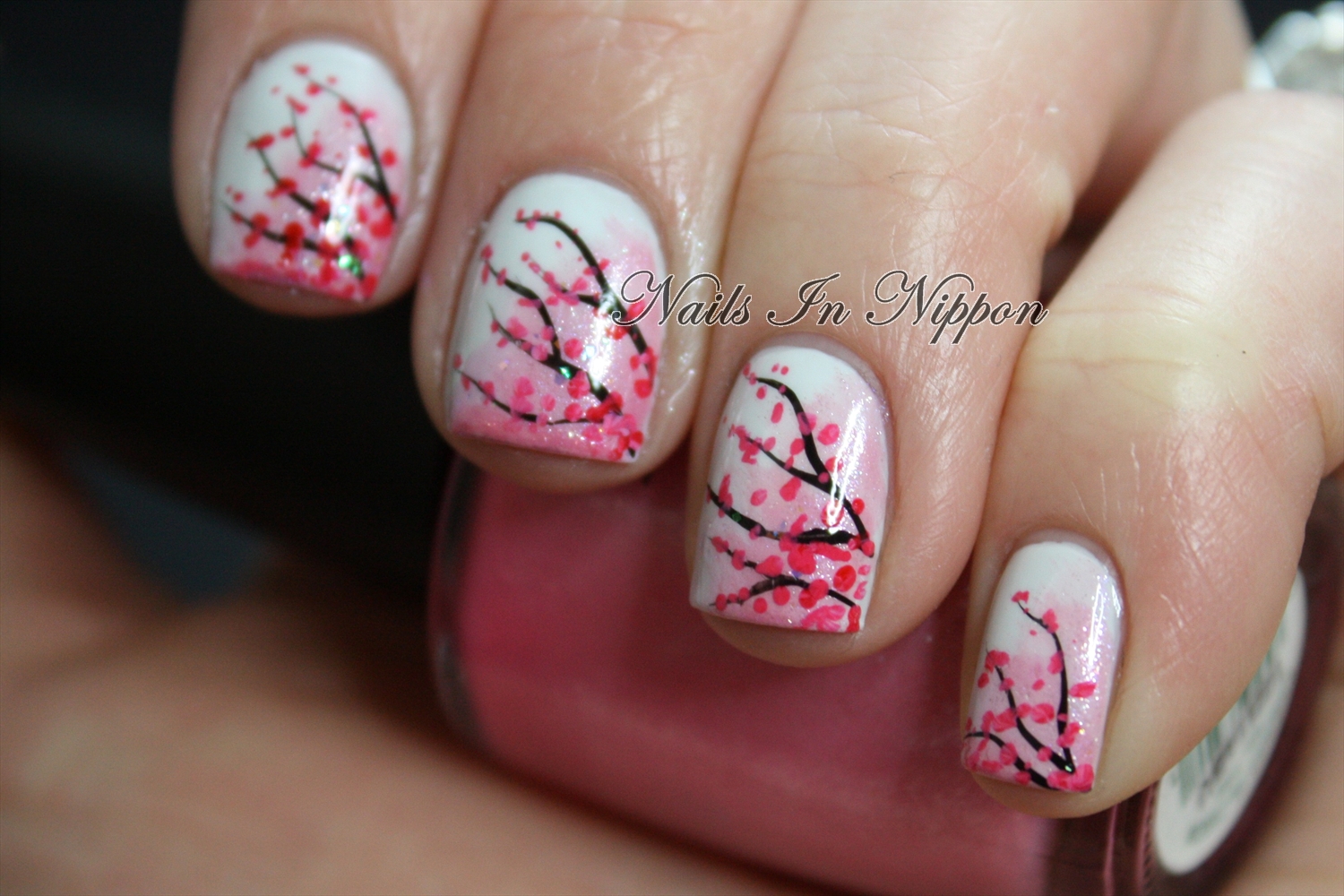 Nail Designs Cherry Blossom Nail Arts