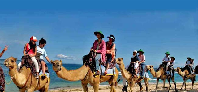 Ride A Camel In Bali