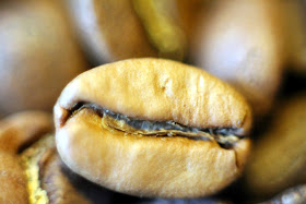 A very pale coffee bean, a quaker it appears.