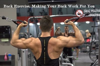 Back Exercise, Making Your Back Work For You