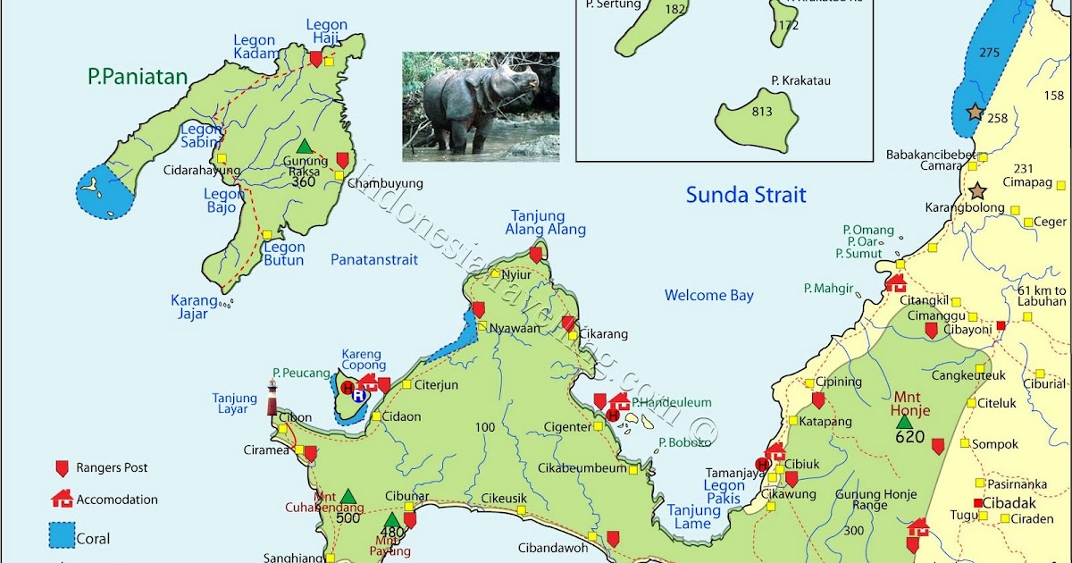 Perjalanan Sederhana Ekspedisi Taman  Nasional  Ujung  Kulon  