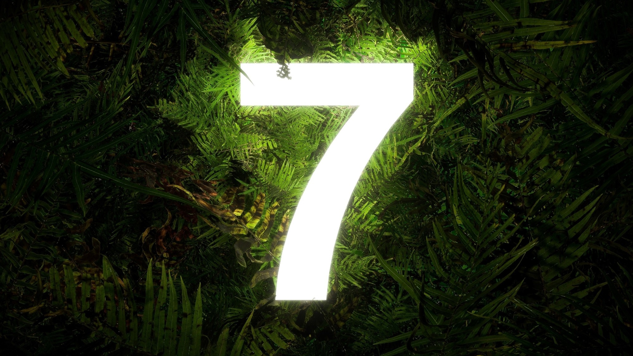 El asombroso significado del número 7