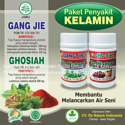 Jual Obat Kencing Nanah Herbal Alami Asli Di Demak WA 082221671001