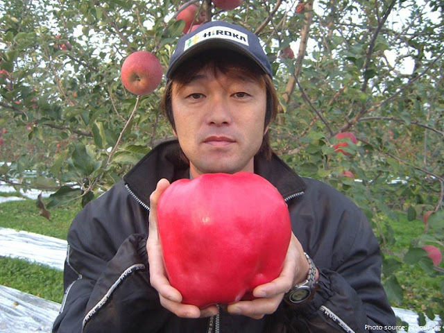Sekai Ichi Apples, Most Expensive Fruits in the World, Apple