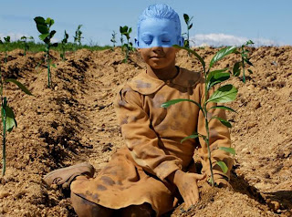 Berkebun di Gurun