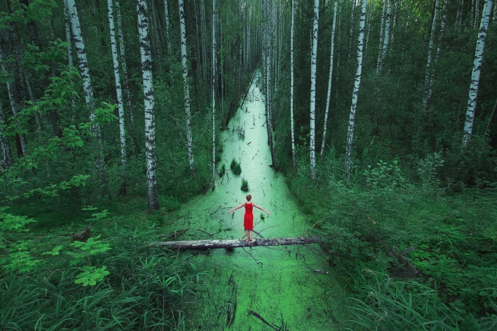 The 100 best photographs ever taken without photoshop - Forests without end, Russia