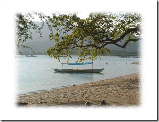 Laiya11