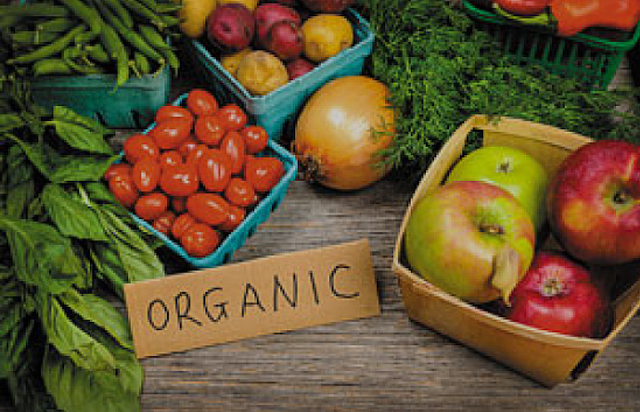 What is Organic Food?