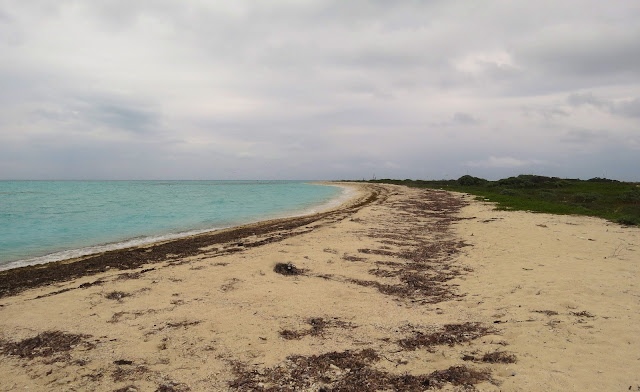 Dry Tortugas, Florida