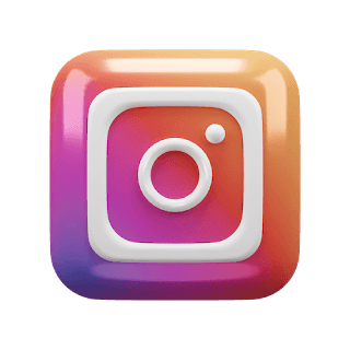 Instagram Story Viewer