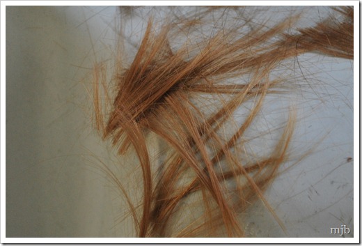 hair