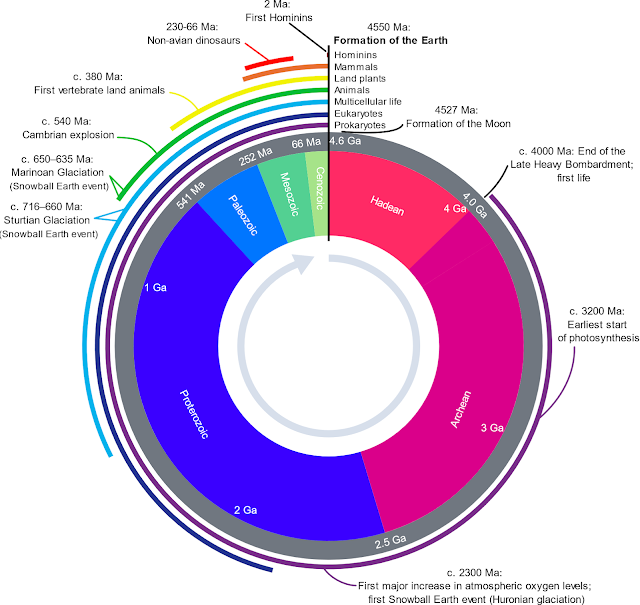 Esta representación de reloj muestra algunas de las principales unidades de tiempo geológico y eventos definitivos de la historia de la Tierra. El eón Hadeano representa el tiempo anterior al registro fósil de la vida en la Tierra; su límite superior ahora se considera como 4.0 Ga (hace mil millones de años). Otras subdivisiones reflejan la evolución de la vida; el Arcaico y el Proterozoico son ambos eones, el Paleozoico, Mesozoico y Cenozoico son eras del eón Fanerozoico. El período Cuaternario de tres millones de años, el tiempo de los humanos reconocibles, es demasiado pequeño para ser visible a esta escala.