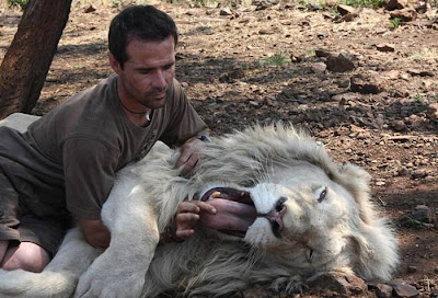 The Lion Whisperer -  Kevin Richardson Seen On www.coolpicturegallery.us