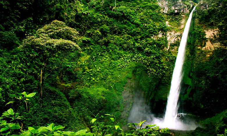 Air terjun coban pelangi malang jawa timur by trugiaz