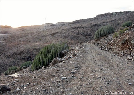 Bergsstigar-Gran-Canaria