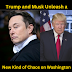 Trump and Musk Unleash a New Kind of Chaos on Washington
