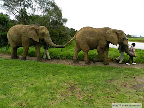 Elephant Sanctuary, The Crags em Plettenberg Bay