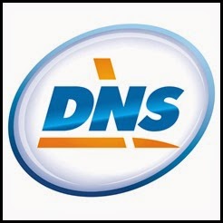original.389.DNS_logo_easy