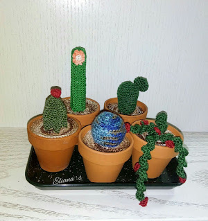 6 Cactus amigurumi