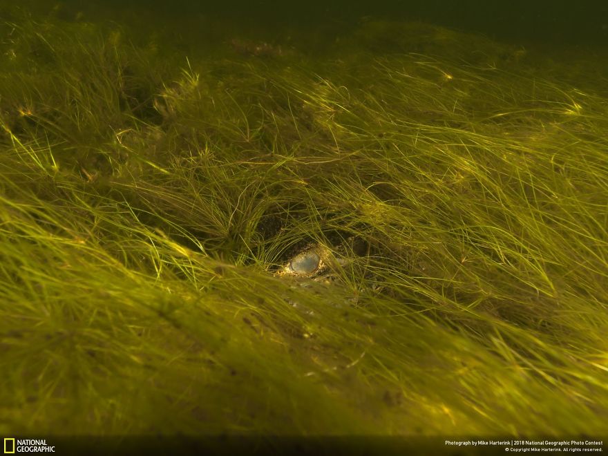 50 Breathtaking Photos Of 2018's National Geographic Photo Contest