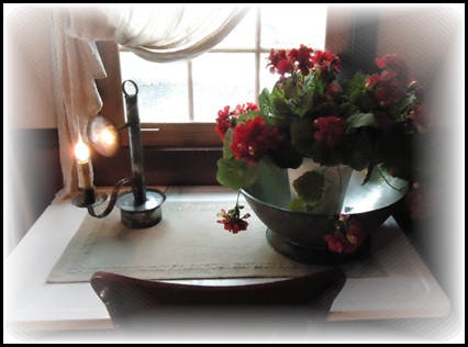 Geraniums in kitchen