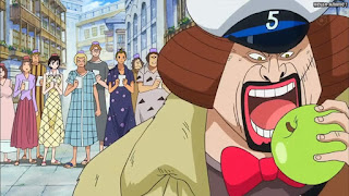 ワンピースアニメ パンクハザード編 599話 海軍 G-5 Marine ヤリスギ | ONE PIECE Episode 599