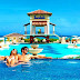 Sandals Resorts