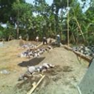 View album