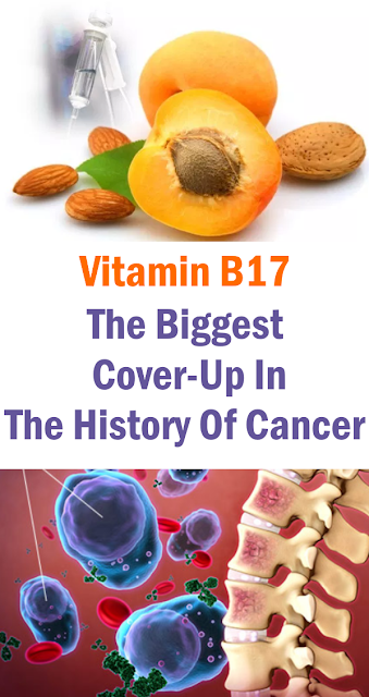 Vitamin B17: The Biggest Cover-Up In The History Of Cancer