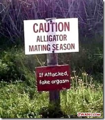 funny-pictures239