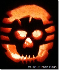 Urban's skull pumpkin