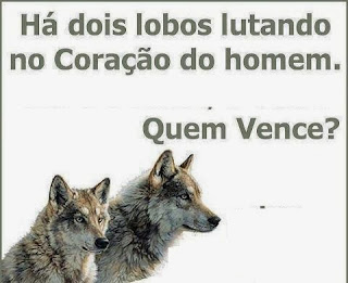 Há um provérbio indígena bem interessante que diz assim: “No coração do homem existem dois lobos que vivem brigando. Um é o amor e o outro é o ódio. Quem ganha? O que você alimentar mais.” Há uma luta constante dentro de nós, uma luta entre a carne e o espírito, e está em suas mãos a decisão de quem irá vencer. (Gl. 5:17)