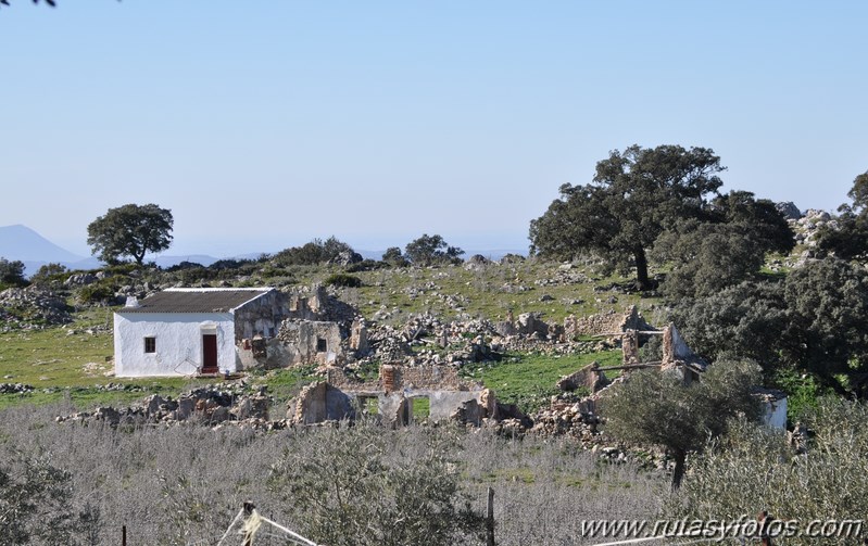 Subida al Peñón de Algámitas