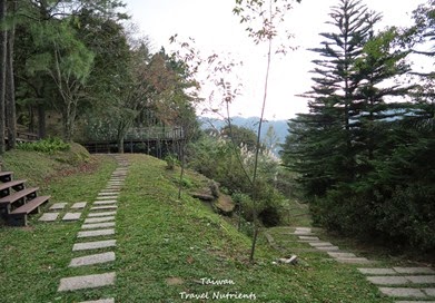 三峽熊空茶園 (4)