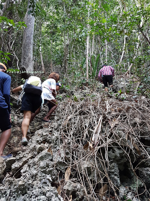 Medan pendakian puncak Wayag, Raja Ampat terjal berbatu Ⓒjelajahsuwanto