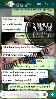 Testi Green Tea Activa