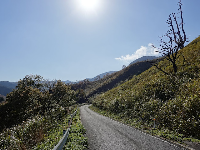 大山環状道路からの船上山の眺望