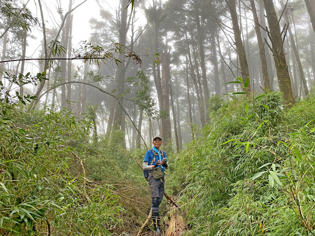 鞍馬山東北峰下山途中