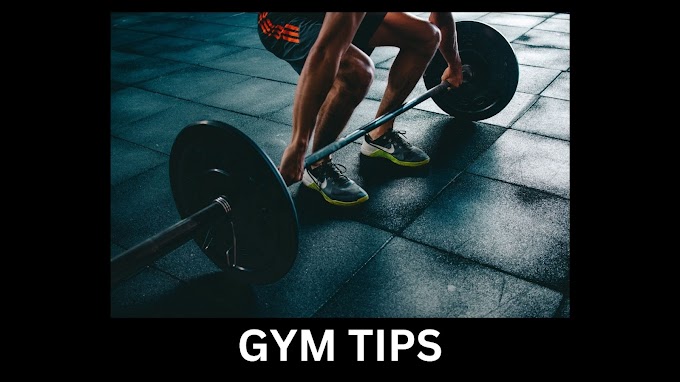 What are the tips for gym beginners to workout in 2023